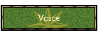 Voice