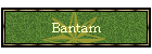 Bantam