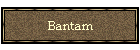 Bantam