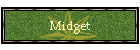 Midget