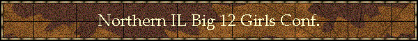 Northern IL Big 12 Girls Conf.