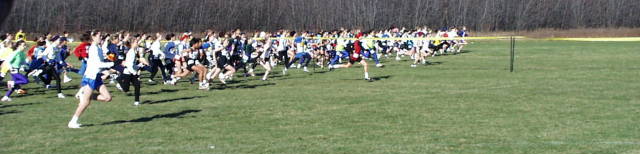 Start of the Midget Girls race.