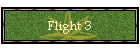 Flight 3