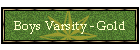 Boys Varsity - Gold